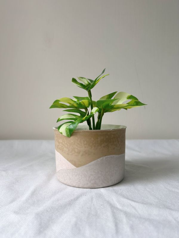 圓形A 手作,水泥,盆器,植栽,多肉,植物,觀葉,塊根,蕨類,盆栽,居家裝飾,水泥盆器