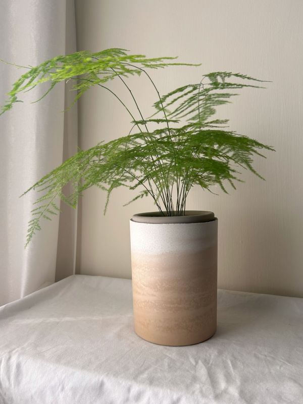 圓形E 手作,水泥,盆器,植栽,多肉,植物,觀葉,塊根,蕨類,盆栽,居家裝飾