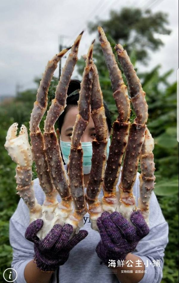 (免運)俄羅斯生凍鱈場蟹腳(  6L ) (整束含4隻腳半身肉) 