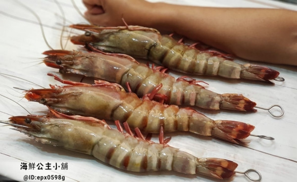 (免運)巨無霸手臂野生海草蝦    *2盒/組  每盒淨重500g ±10%  3-4/隻 