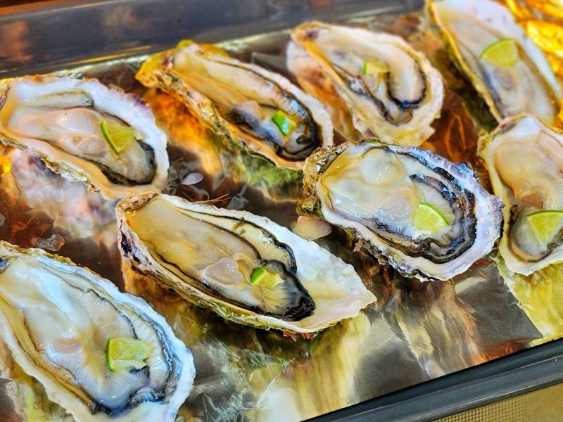 日本宮城全殼生蠔 (生食級)  一手無法掌握 !  每顆100~150G   (8顆裝) 