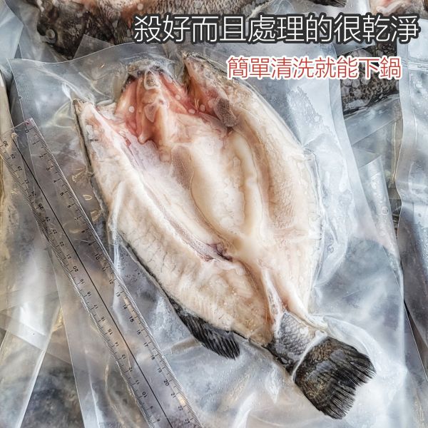 宜蘭山泉鱸魚 每尾500g以上 