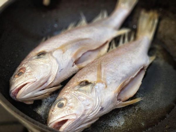 台灣現撈急凍野生白口 