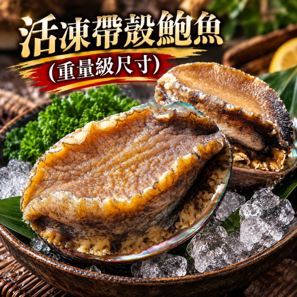 (免運)御品半殼巨無霸鮑魚 2~3顆 淨重550g 正負10%(禮盒裝) 