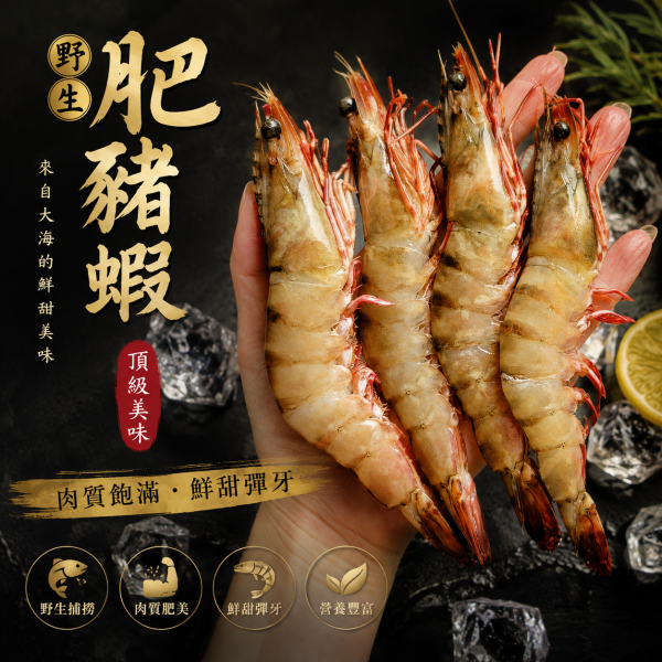 野生肥豬蝦  每盒約13~16隻 500g 