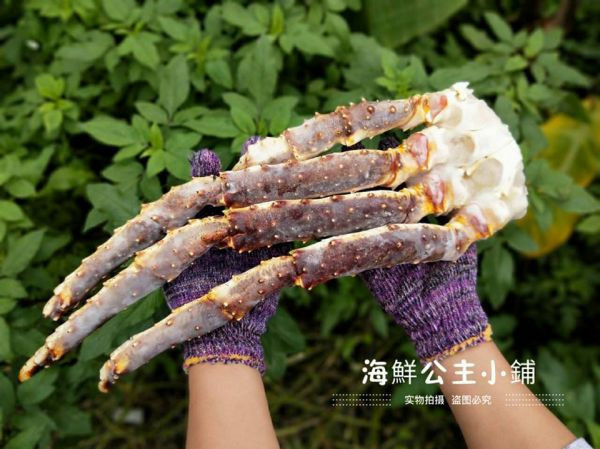 (免運)俄羅斯生凍鱈場蟹腳(  6L ) (整束含4隻腳半身肉) 