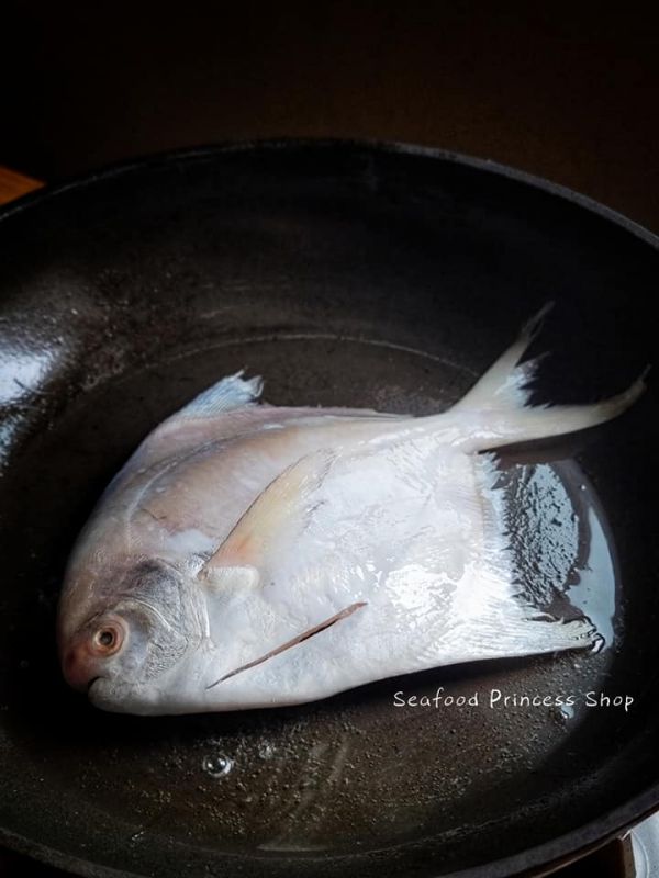 野生白鯧 每隻200g 以上 