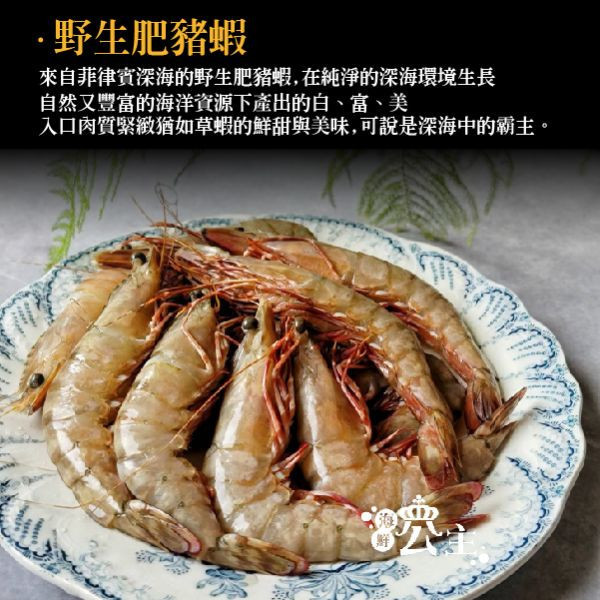 野生肥豬蝦 ( 500g約11-13隻) 