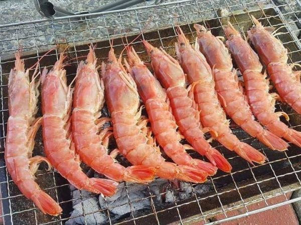 阿根廷天使紅蝦(L1)  每盒2KG 約30~35/隻 
