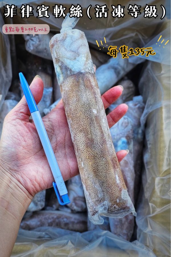 菲律賓活凍軟絲 200g以上/隻 