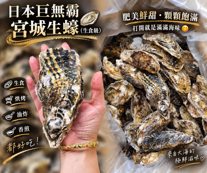 日本宮城全殼生蠔 (生食級)  一手無法掌握 !  每顆150~200G   (5顆裝) 