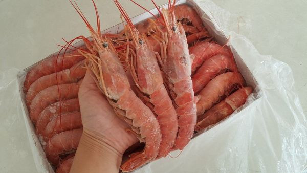 阿根廷天使紅蝦(L1)  每盒2KG 約30~35/隻 