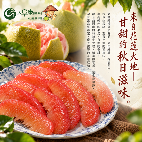 花蓮大阜康農場 (紅文旦)  6公斤裝（約5~8粒）  10月中旬出貨 