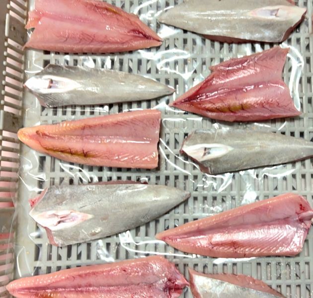 煙仔虎魚(腹肉)   學名: 東方齒鰆  每包600g 