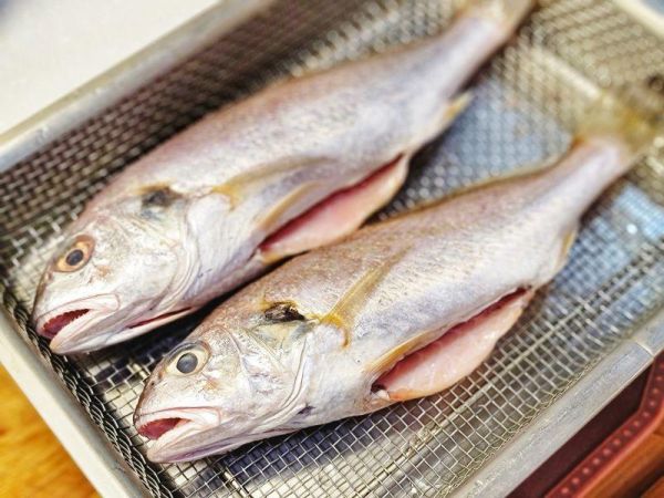 台灣現撈急凍野生白口 