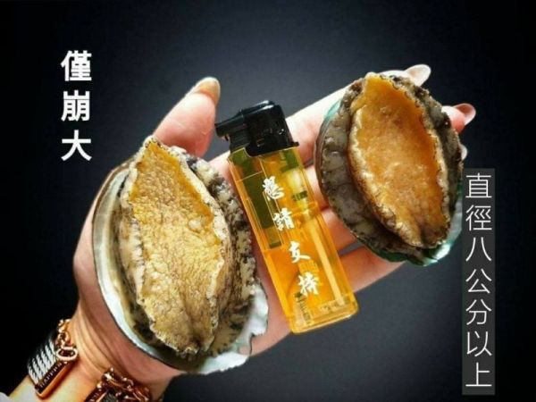 (免運專案) 御品半殼大鮑魚 10~12顆 淨重550g  3入/組 