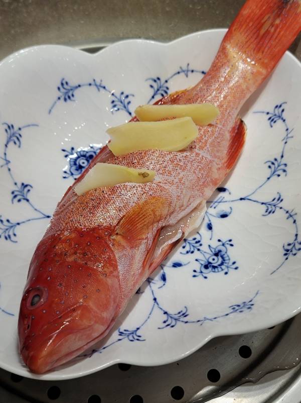 野生燕尾紅鰷 每隻300g 以上 