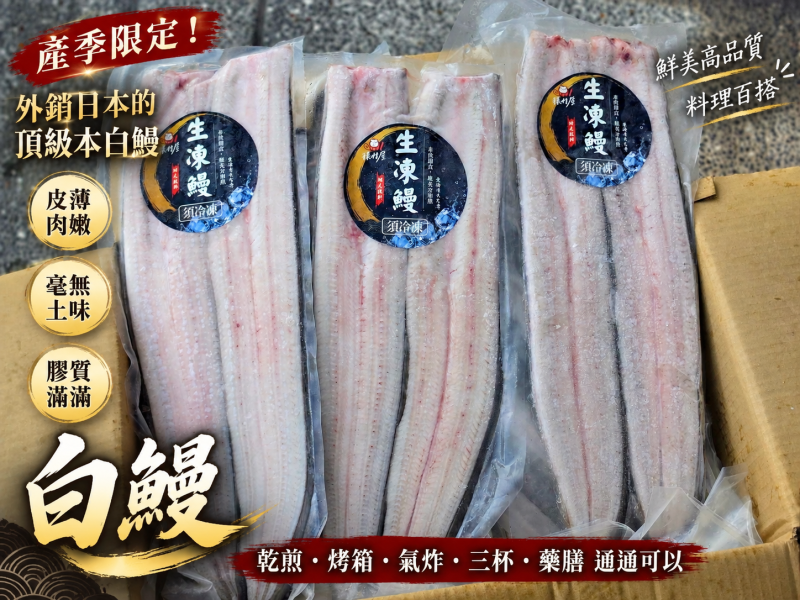 猿村屋（ 外銷日本） 白鰻片  油煎 三杯 燒烤 都好吃 
