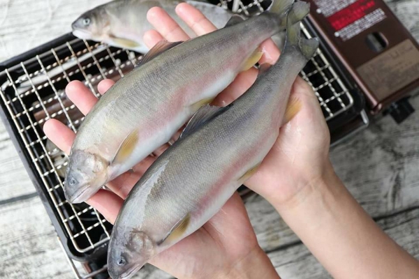 (免運) 巨無霸(母)香魚4入  *2盒 每盒 900g 