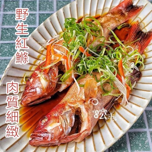 野生燕尾紅鰷 每隻300g 以上 