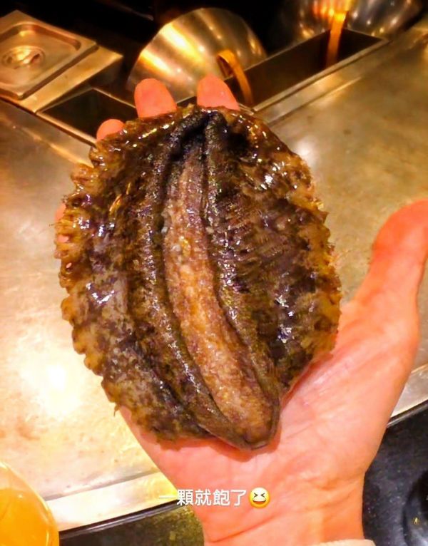 (免運)御品半殼巨無霸鮑魚 2~3顆 淨重550g 正負10%(禮盒裝) 