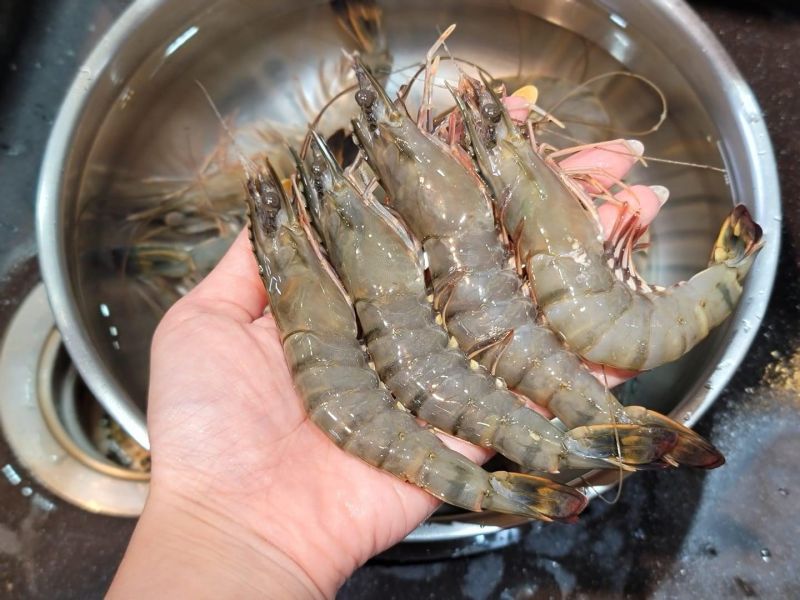 活凍草蝦 10P   每盒250g 正負10% 