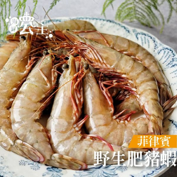 野生肥豬蝦 ( 500g約11-13隻) 