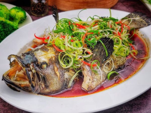 龍虎石斑 600g 以上   (去鱗去腮去肚)   贈川燒豆瓣醬 *1包 