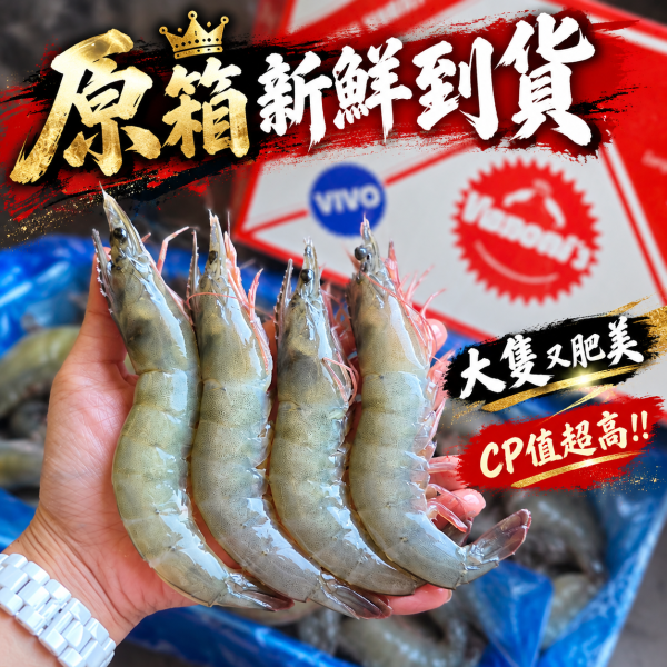 紅太陽（大白蝦20/30規格）850克 