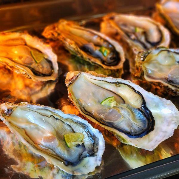 日本宮城全殼生蠔 (生食級)  一手無法掌握 !  每顆150~200G   (5顆裝) 