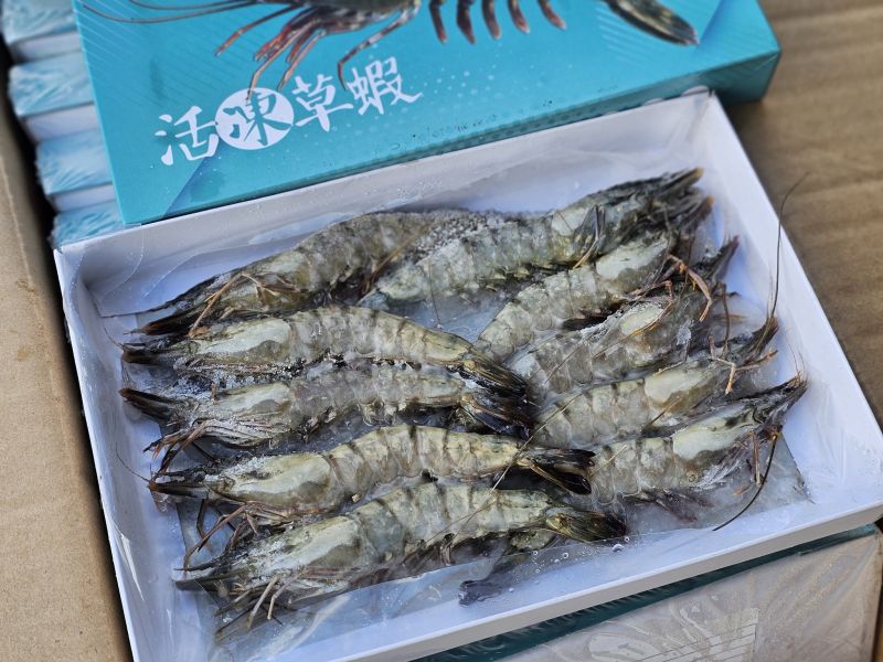 (限時特價) 活凍草蝦   每盒250g 10隻 