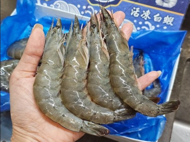 國王活凍大白蝦  每盒550g±10% 約18-20隻 