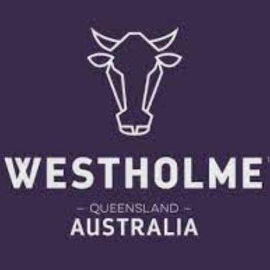 Westholme 澳洲和牛牛臉頰肉  每包900克以上 