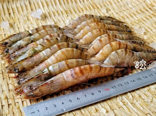 (免運專案) 野生肥豬蝦500g *4盒/組 約11-14隻 隨機出貨 