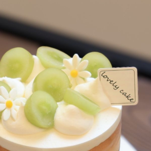 麝香葡萄生乳/4吋 