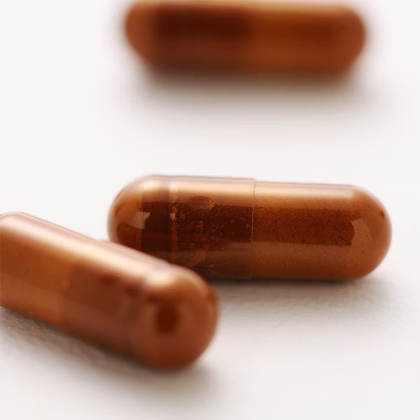 Antromax®牛樟芝菌絲體膠囊（60顆/盒） 