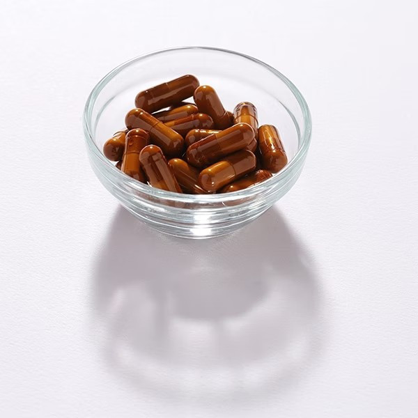 Antromax®牛樟芝菌絲體膠囊（60顆/盒） 