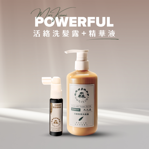 經典木之森組合 經典1+1組合