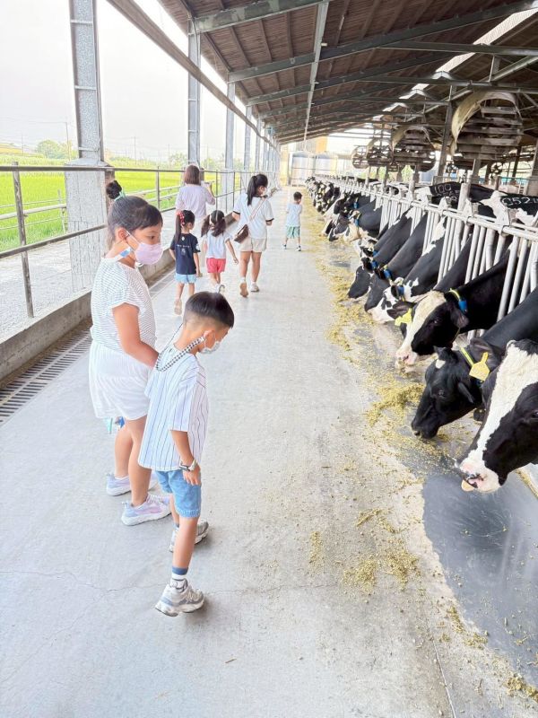 小小酪農出任務｜桂芳牧場 