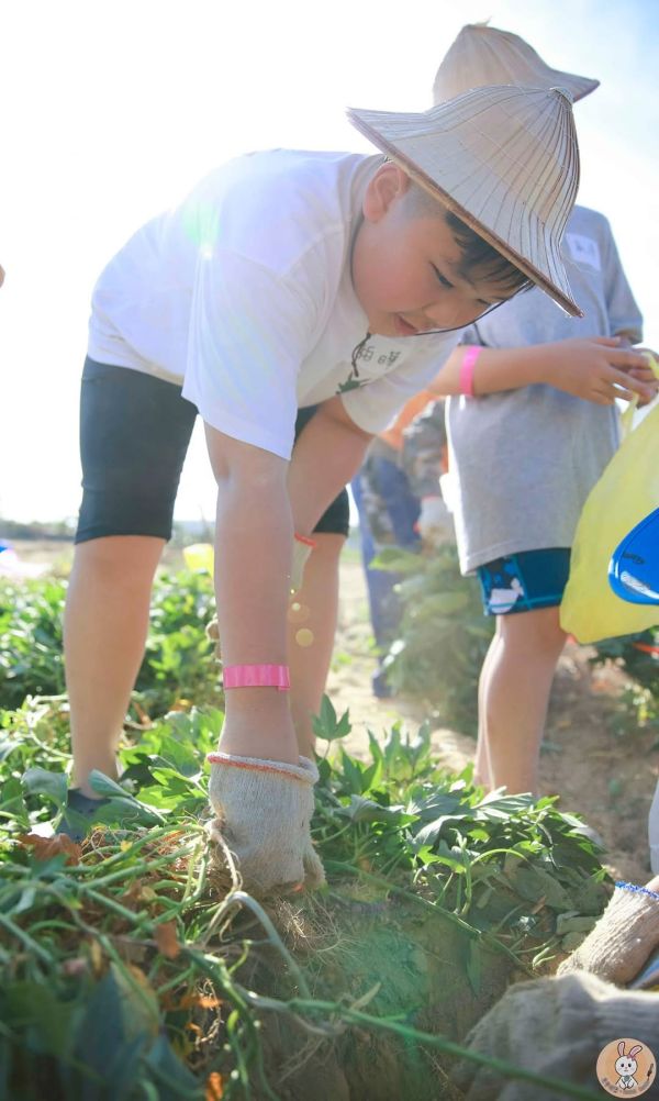 春耕小農夫〔含攝影〕 春耕活動,台南假日親子,台南假日活動,台南親子,埃及展,兔子城堡,阿中生態農場,台南五感,台南親子活動