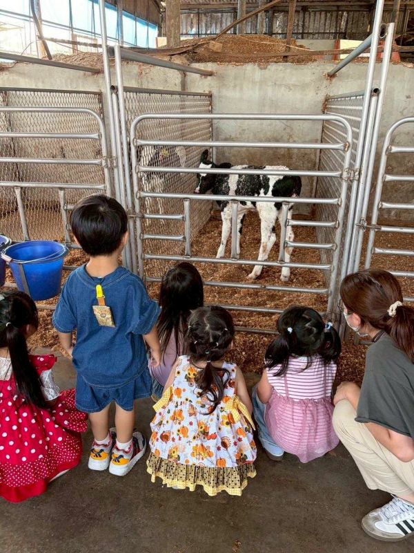 小小酪農出任務｜桂芳牧場 