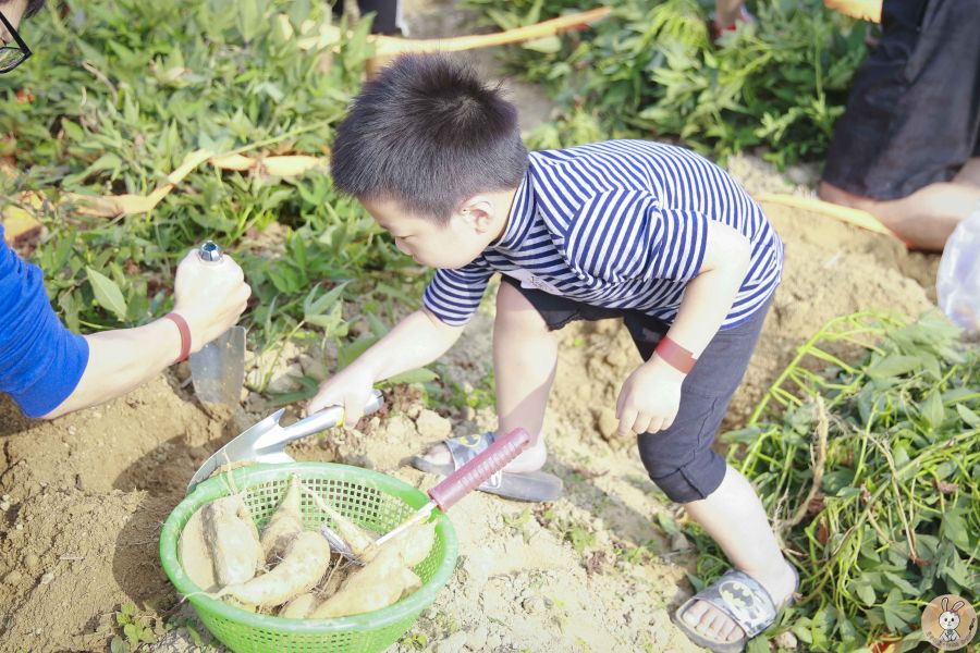 春耕小農夫〔無攝影〕 