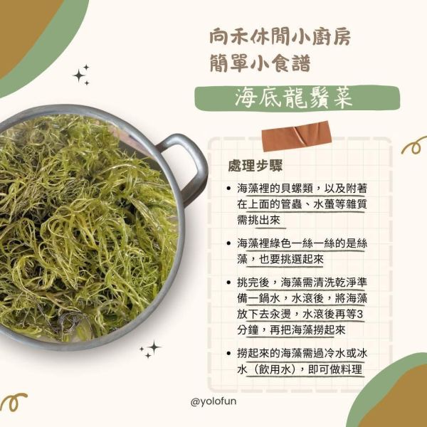 小小航海王｜向禾休閒漁場 