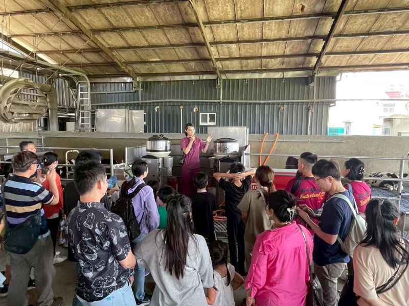 小小酪農出任務｜桂芳牧場 