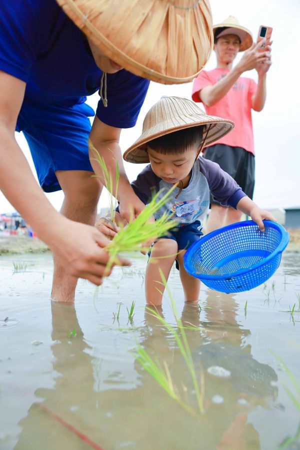 春耕小農夫〔含攝影〕 春耕活動,台南假日親子,台南假日活動,台南親子,埃及展,兔子城堡,阿中生態農場,台南五感,台南親子活動