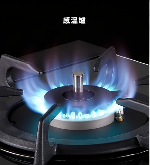 【日成】林內牌台爐.感溫.不銹鋼面板(雙口防乾燒)RTS-Q230S 安全爐 桃園廚具,日成,日成廚衛,日成廚衛生活館,日成廚具,感溫爐,台爐,瓦斯爐,優惠,享甜甜價