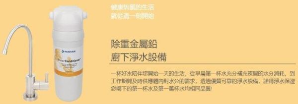 【日成】諾得淨水器 24.2.351A 高碘值活性碳+除鉛【整組】含安裝 