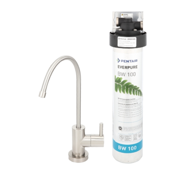 【日成】諾得 BW-100A 單道淨水器 專利活性炭+抑水垢 含安裝 