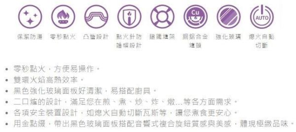 【日成】莊頭北二口檯面爐 白玻璃面板 檯面式瓦斯爐 TG-8503GW 