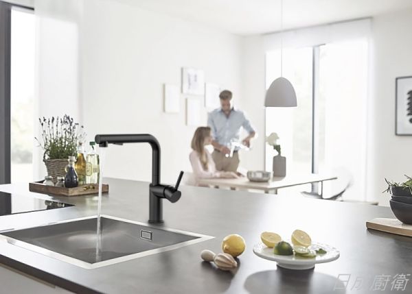 【日成】de.luxso 不鏽鋼廚房 伸縮龍頭 DF-7645BK 霧黑色.有花灑 